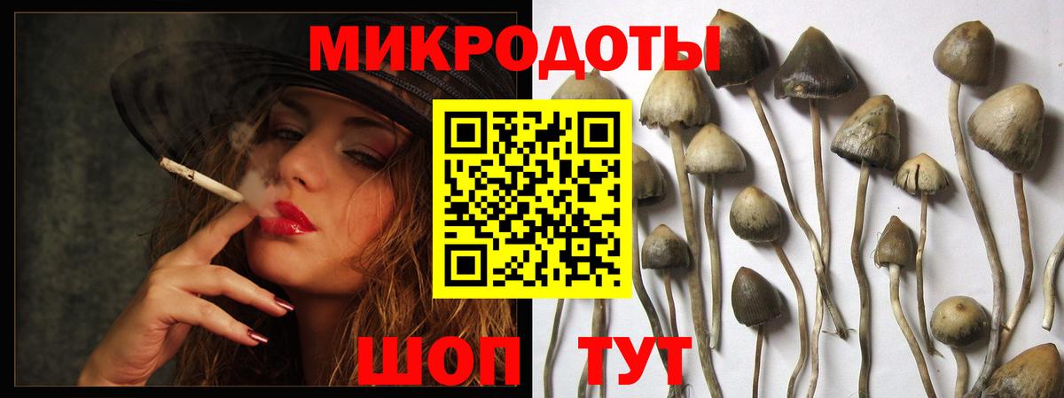Псилоцибиновые грибы мицелий  Вход с VPN  Камень-на-Оби 