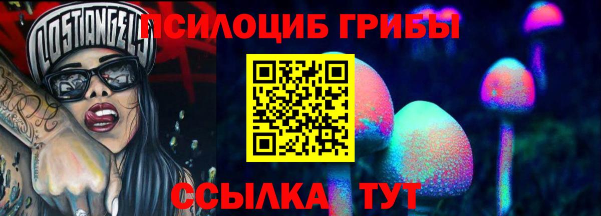 Псилоцибиновые грибы GOLDEN TEACHER Камень-на-Оби